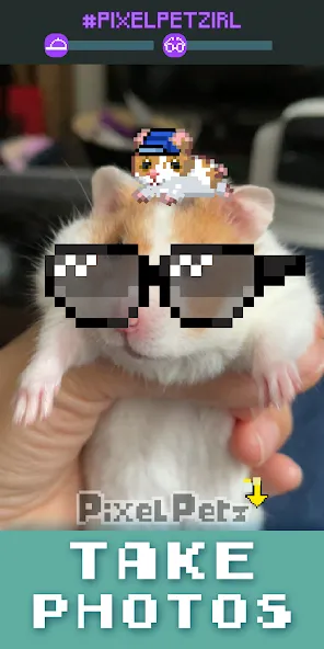 Pixel Petz на Андроид — Много монет и ресурсов — скриншот 4