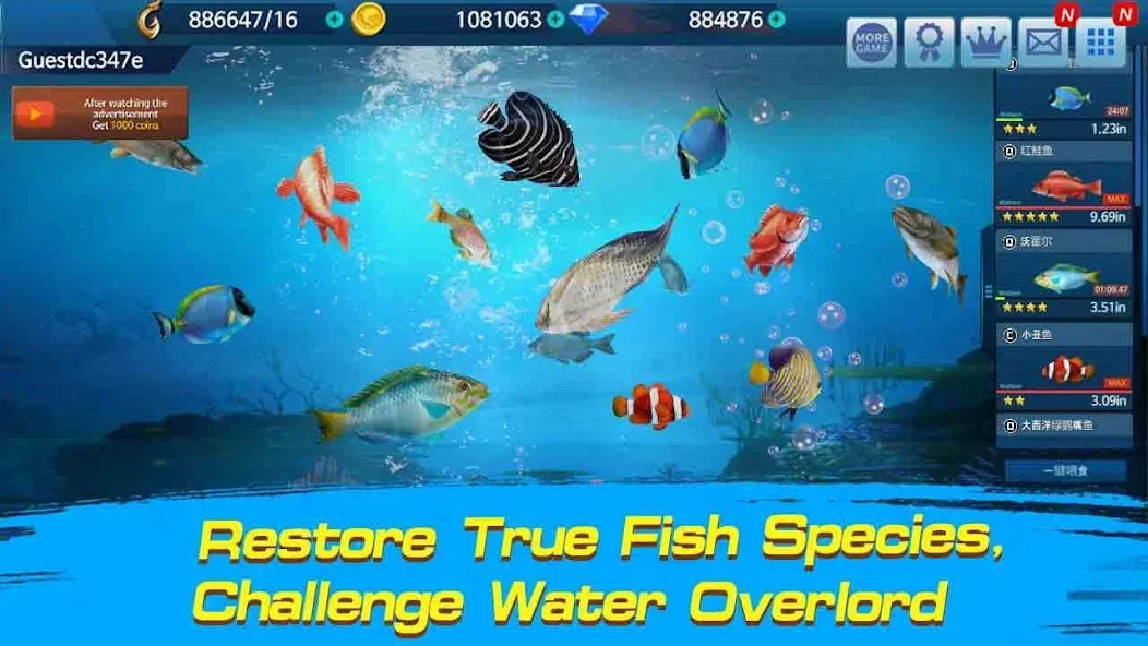 Скачать Fishing Championship — Модификация Безлимитные монеты и энергии — скриншот 2