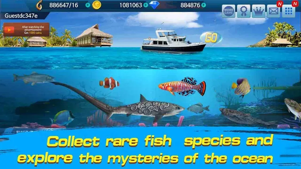 Скачать Fishing Championship — Модификация Безлимитные монеты и энергии — скриншот 3