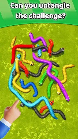 Взломанная Tangled Snakes Puzzle Game на Андроид — Разблокированы все уровни и подсказки — скриншот 5 Взломанная Tangled Snakes Puzzle Game на Андроид — Разблокированы все уровни и подсказки — скриншот 5