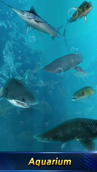 Скачать взлом Monster Fishing 2024 на Андроид — Безлимитные деньги и открытые локации — скриншот 2