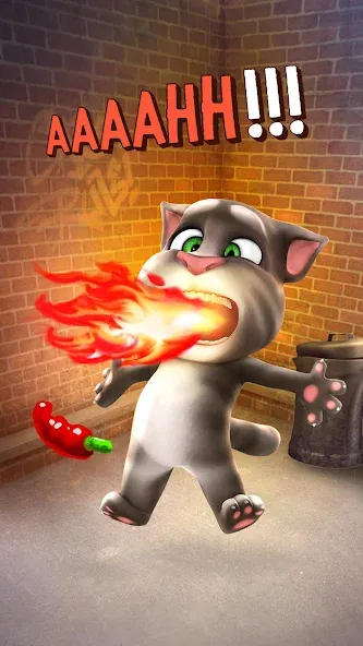 Talking Tom Cat — Взломанная версия (Много денег и все предметы открыты) — скриншот 4