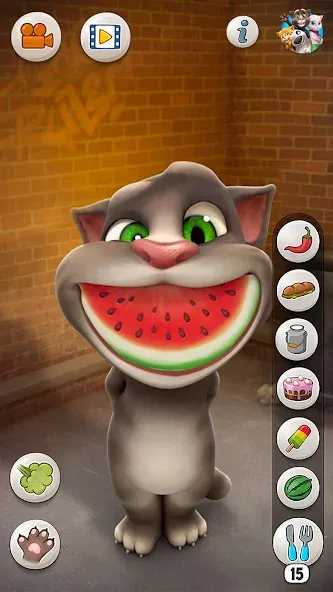 Talking Tom Cat — Взломанная версия (Много денег и все предметы открыты) — скриншот 5