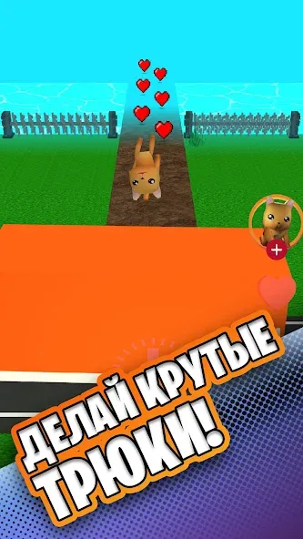 Simbachka Run MOD — Бесконечные монеты и жизни на Андроид — скриншот 2 Simbachka Run MOD — Бесконечные монеты и жизни на Андроид — скриншот 2