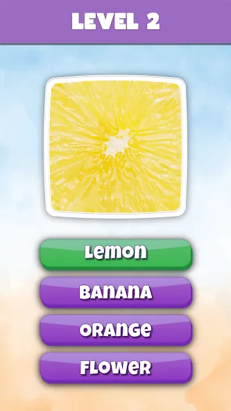 Скачать взломанную What is it? Pics Trivia Quiz — Открыты все уровни и подсказки — скриншот 3