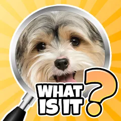 Скачать взломанную What is it? Pics Trivia Quiz — Открыты все уровни и подсказки