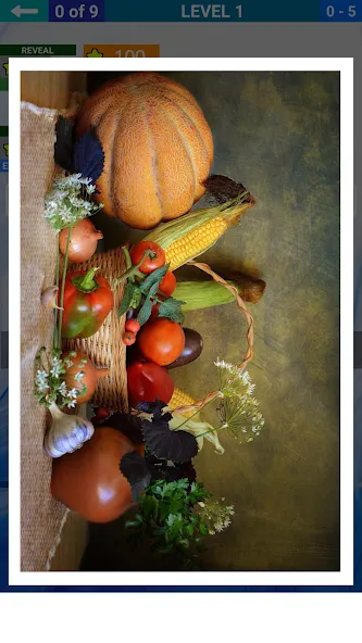 Скачать 1 picture and a few words на Android — Открыты все уровни и подсказки — скриншот 5 Скачать 1 picture and a few words на Android — Открыты все уровни и подсказки — скриншот 5