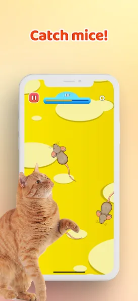 Скачать Games for Cat-Toy Mouse & Fish — Модификация Новые игрушки и рыбки — скриншот 1 Скачать Games for Cat-Toy Mouse & Fish — Модификация Новые игрушки и рыбки — скриншот 1