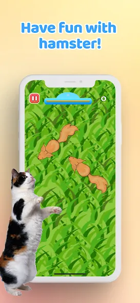 Скачать Games for Cat-Toy Mouse & Fish — Модификация Новые игрушки и рыбки — скриншот 5 Скачать Games for Cat-Toy Mouse & Fish — Модификация Новые игрушки и рыбки — скриншот 5