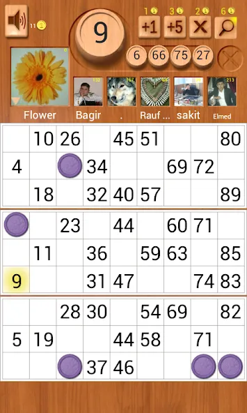 Loto Online — Взломанная версия (Без рекламы и много монет) — скриншот 1 Loto Online — Взломанная версия (Без рекламы и много монет) — скриншот 1