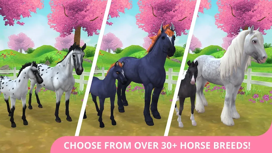 Взломанная Star Stable Horses на Андроид — Безлимитные деньги и все лошади — скриншот 1 Взломанная Star Stable Horses на Андроид — Безлимитные деньги и все лошади — скриншот 1
