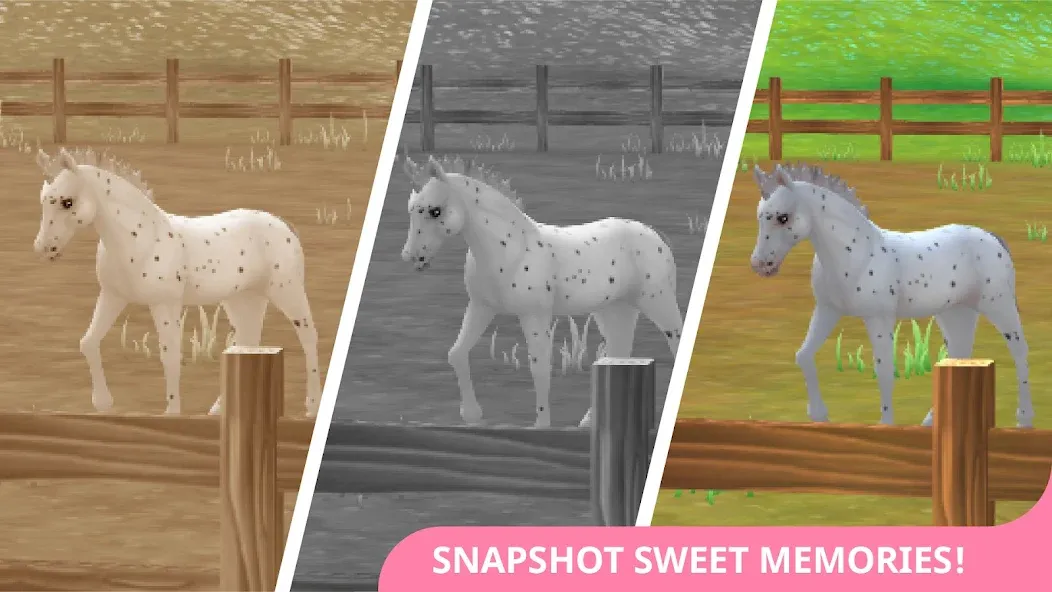 Взломанная Star Stable Horses на Андроид — Безлимитные деньги и все лошади — скриншот 4 Взломанная Star Stable Horses на Андроид — Безлимитные деньги и все лошади — скриншот 4