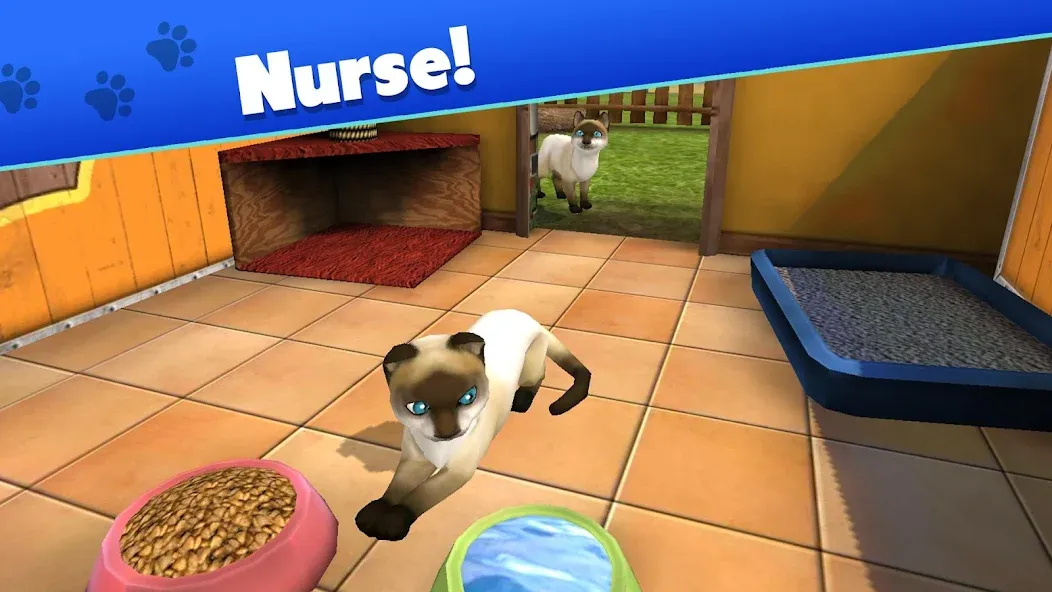 Скачать Pet World - My Animal Shelter — Последняя версия (Безлимитные деньги и ресурсы) — скриншот 3