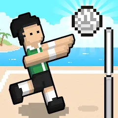 Скачать Volley Random на Android — Разблокированы все мячи и режимы