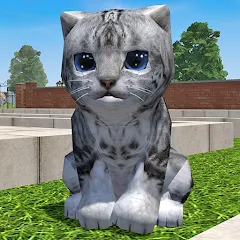 Взлом Cute Pocket Cat 3D - Part 2 — Безлимитные монеты и все питомцы