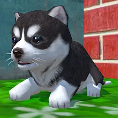 Скачать Cute Pocket Puppy 3D на Андроид — Много денег и все питомцы