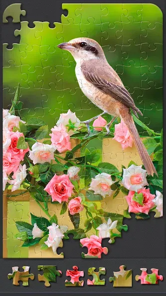 Jigsaw Puzzles for Adults Mod APK Безлимитные подсказки и пазлы открыты — Скачать на Андроид — скриншот 3