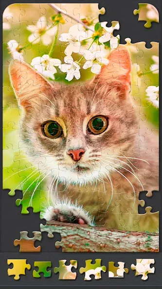 Jigsaw Puzzles for Adults Mod APK Безлимитные подсказки и пазлы открыты — Скачать на Андроид — скриншот 5
