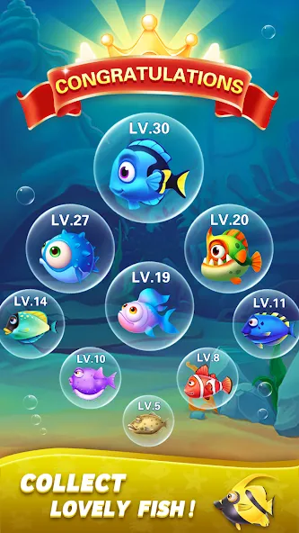Block Ocean 1010 Puzzle Games — Взломанная версия (Без рекламы и бесконечные подсказки) — скриншот 5