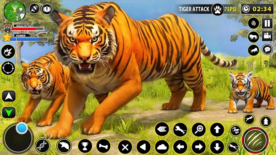Скачать взлом Tiger Simulator Lion games 3D на Андроид — Безлимитные деньги и энергия — скриншот 1 Скачать взлом Tiger Simulator Lion games 3D на Андроид — Безлимитные деньги и энергия — скриншот 1