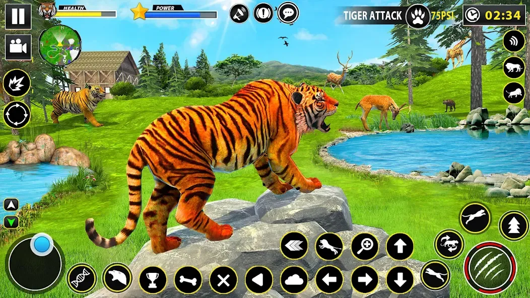 Скачать взлом Tiger Simulator Lion games 3D на Андроид — Безлимитные деньги и энергия — скриншот 4 Скачать взлом Tiger Simulator Lion games 3D на Андроид — Безлимитные деньги и энергия — скриншот 4