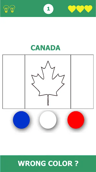 Flag Quiz Gallery: Quiz, Guess MOD APK — Открыты все флаги и уровни — скриншот 3