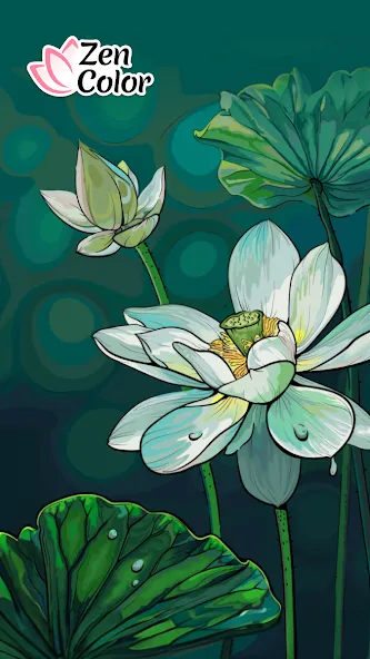 Скачать взлом Zen Color - Color By Number на Андроид — Без рекламы и всё открыто — скриншот 1