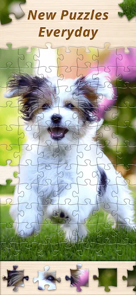 Взломанная Jigsaw Premium Puzzles HD на Андроид — Премиум функции и все пазлы открыты — скриншот 5