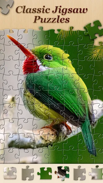 Скачать взломанную Jigsawscapes® - Jigsaw Puzzles — Без рекламы и все пазлы открыты — скриншот 2