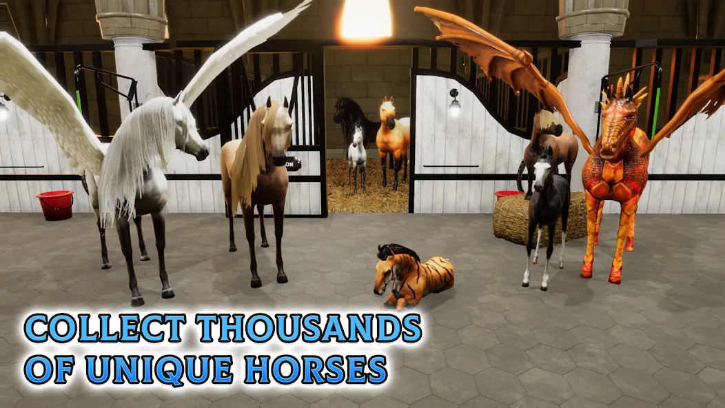 Скачать Horse Academy - Equestrian MMO (Мод: Бесконечные деньги и редкие лошади) на Андроид — скриншот 5