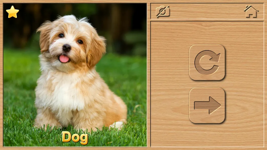 Скачать Animal Puzzles for Kids (Мод: Открыты все пазлы и уровни) на Андроид — скриншот 2