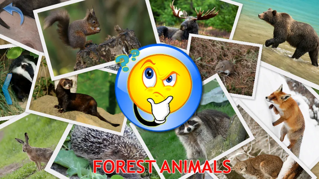 Скачать Animals for Kids на Android — Все животные разблокированы и без рекламы — скриншот 5