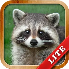 Скачать Animals for Kids на Android — Все животные разблокированы и без рекламы