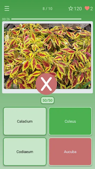 Quiz: Flowers, Plants на Андроид — Мод Все растения разблокированы — скриншот 3
